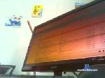 Whofd cam4 livecam show performer room profile