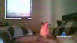 Mygind cam4 livecam show performer room profile