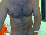 centauro75 cam4 livecam show performer room profile