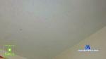 LibraryofAlex cam4 livecam show performer room profile