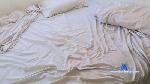 schoko_fun cam4 livecam show performer room profile