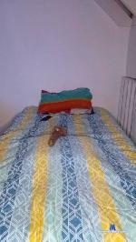 sumisoBB cam4 livecam show performer room profile