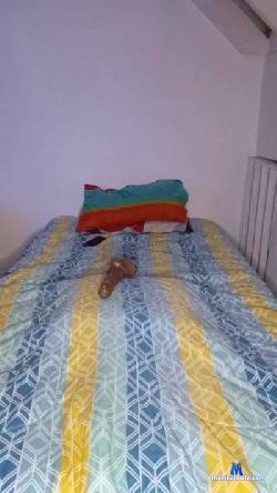 sumisoBB cam4 live cam performer profile