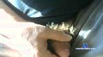 paulie91952 cam4 livecam show performer room profile