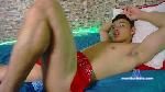 Yaaf_Latin cam4 livecam show performer room profile