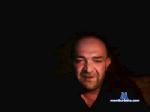 romagnaboss cam4 livecam show performer room profile