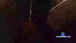 xdeshawnx cam4 livecam show performer room profile
