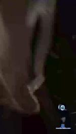 Rayannayar cam4 livecam show performer room profile