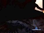 puppysweet cam4 livecam show performer room profile