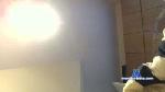 RalphBBerlin cam4 livecam show performer room profile