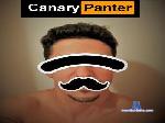 PanteraCanaria cam4 livecam show performer room profile