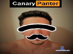 PanteraCanaria cam4 live cam performer profile