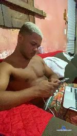 Gatopretobra cam4 livecam show performer room profile