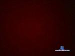 ArabCumWhore cam4 livecam show performer room profile