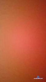 Carlospalves cam4 livecam show performer room profile