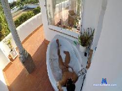 Pitodelbosque cam4 live cam performer profile