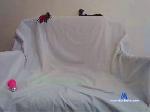 AnnyCoff95 cam4 livecam show performer room profile