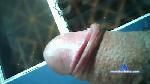 amixchiclayano cam4 livecam show performer room profile