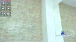 aly_cooper cam4 livecam show performer room profile