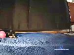 imerator75 cam4 livecam show performer room profile