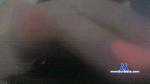 babylovegirl cam4 livecam show performer room profile