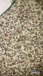 GSPOT cam4 livecam show performer room profile