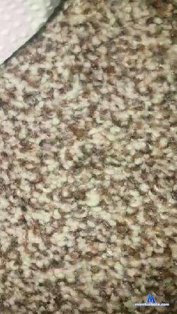 GSPOT cam4 live cam performer profile