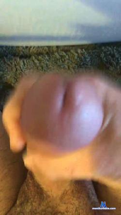 Zorotgn cam4 live cam performer profile