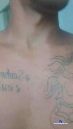 MalokaFavelado cam4 livecam show performer room profile