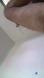 Carente19cm cam4 livecam show performer room profile