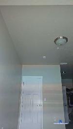 megan224 cam4 livecam show performer room profile