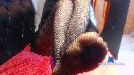 Tessa_Brooks cam4 livecam show performer room profile