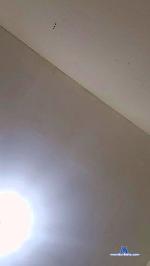 artangelsbr cam4 livecam show performer room profile