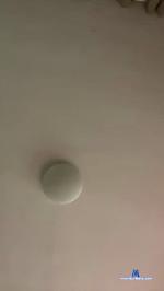 eymi4 cam4 livecam show performer room profile