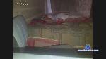 BUNNY2003 cam4 livecam show performer room profile