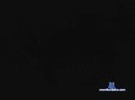 fender01 cam4 livecam show performer room profile
