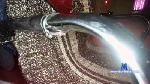 eroticushot cam4 livecam show performer room profile