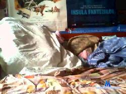 wolf00000030 cam4 live cam performer profile