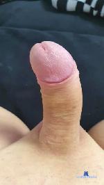 timisoara404 cam4 livecam show performer room profile