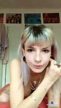 alexa_kitten cam4 live cam performer profile
