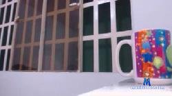 lemon_anderson cam4 live cam performer profile