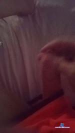 curiososafadao1 cam4 livecam show performer room profile