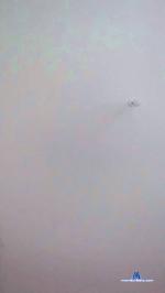 lyliana1 cam4 livecam show performer room profile