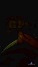 langdan cam4 livecam show performer room profile