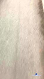 MorboPublic cam4 livecam show performer room profile