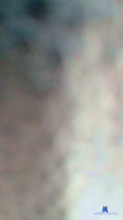 alexdarx3 cam4 live cam performer profile