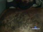 hairy80hot cam4 livecam show performer room profile