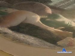 Itsalluphilln cam4 live cam performer profile