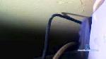 pippo100 cam4 livecam show performer room profile