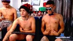 experimentX1 cam4 live cam performer profile